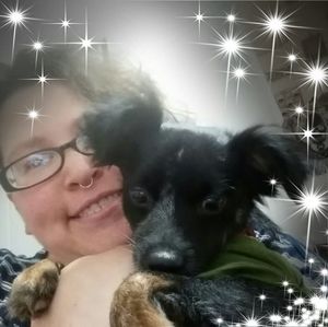 Meet your Posher, Sylvia